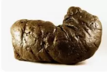 mystery poo