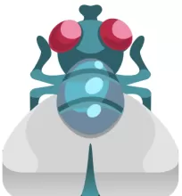 Fly(unc)
