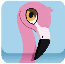 Flamingo(unc)